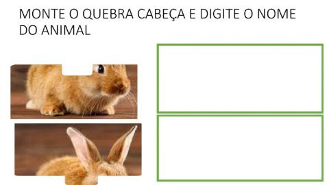 Animais