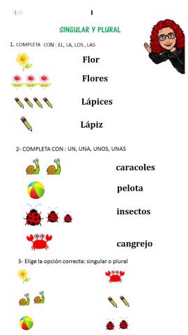 Singular y plural