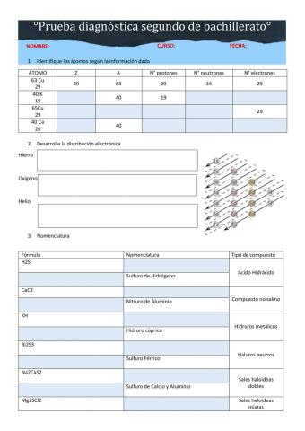 Prueba diagnóstico segundo bach