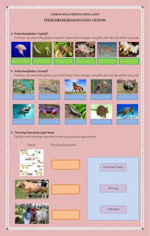 LKPD Perkembangbiakan Hewan
