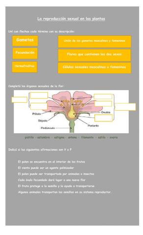 Reproducción sexual en las plantas