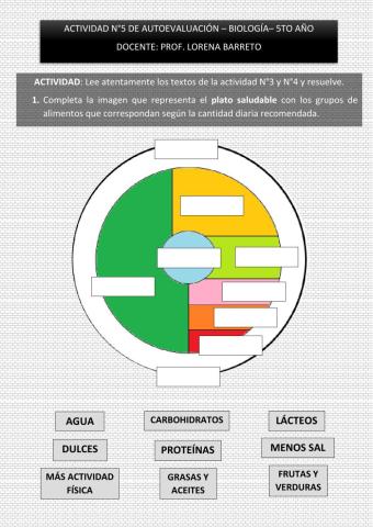 Alimentación saludable