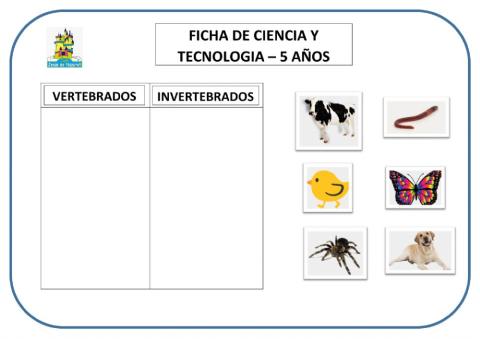 Animales vertebrados - invertebrados