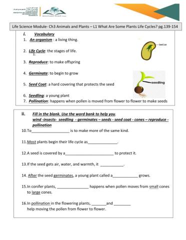 Some plants life cycle