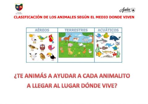 Clasificación de los animales según el lugar en que viven