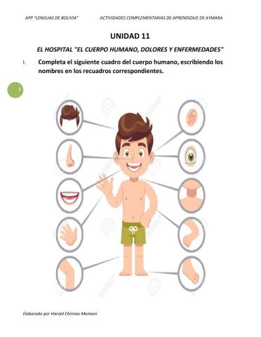 El cuerpo humano