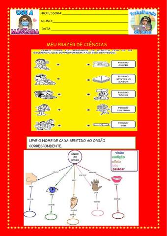 Orgãos dos sentidos