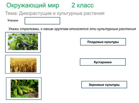 Окружающий мир 2 класс