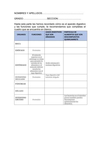 Funciones del sistema digestivo