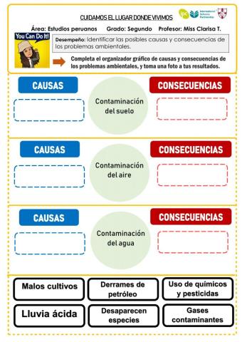 Causas y Consecuencias de Problemas Ambientales