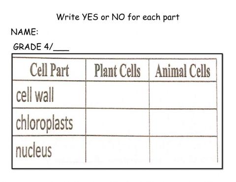 Fill in the Table - Animal Cells-Plant Cells