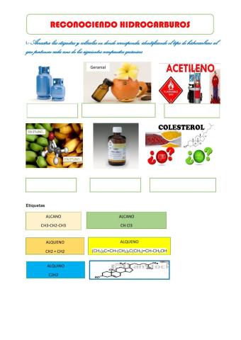 Reconociendo hidrocarburos