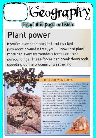 Week 23 - Geography - Biological Weathering