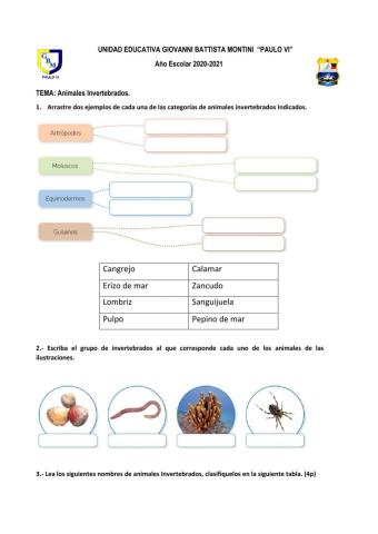 ANIMALES INVERTEBRADOS