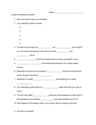 Respiratory system reading notes