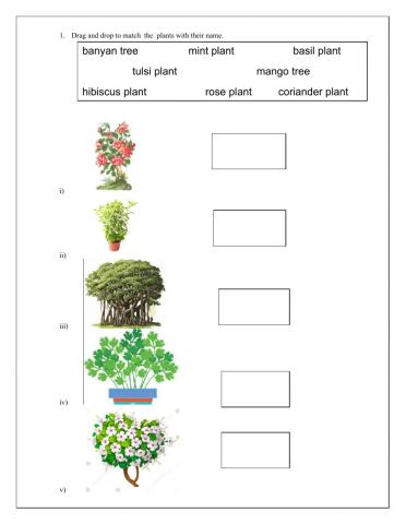 Types of plants