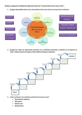 Actividad: características de los seres vivos