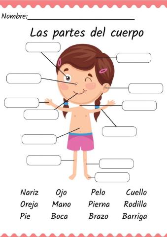 Partes del cuerpo