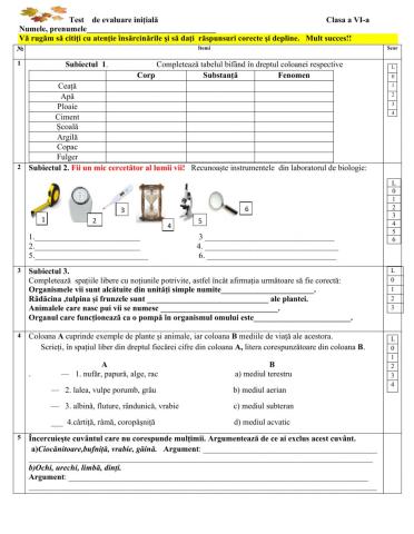 Evaluare Initiala