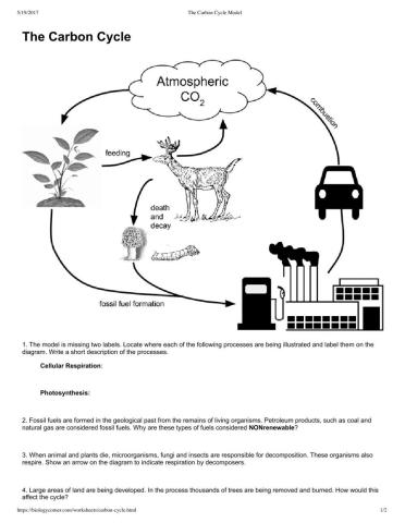 Carbon cycle