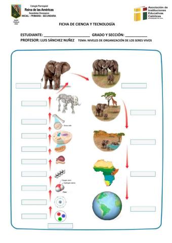 Organización de los seres vivos 2