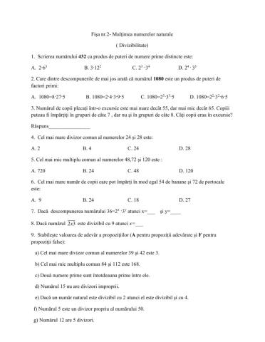 fisa clasa VI- Divizibilitate