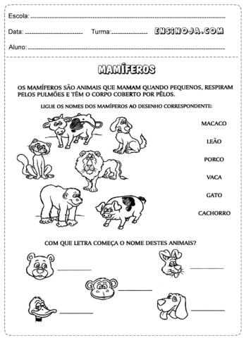 Animais e nomes