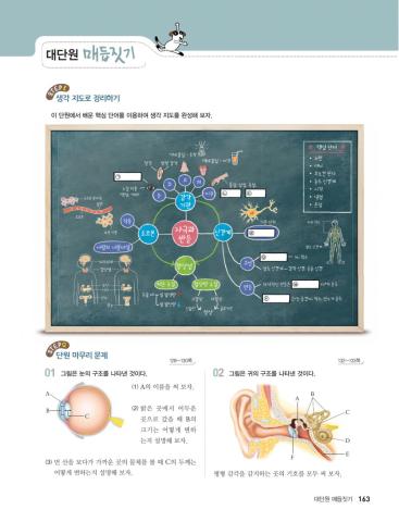 자극과 반응 대단원매듭짓기(163-164쪽)