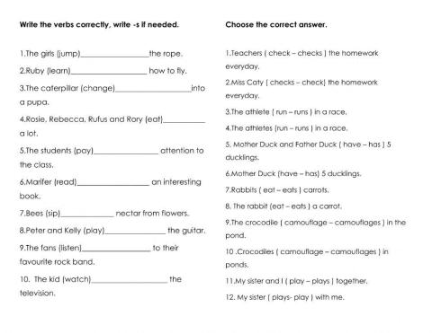 Simple Present tense1