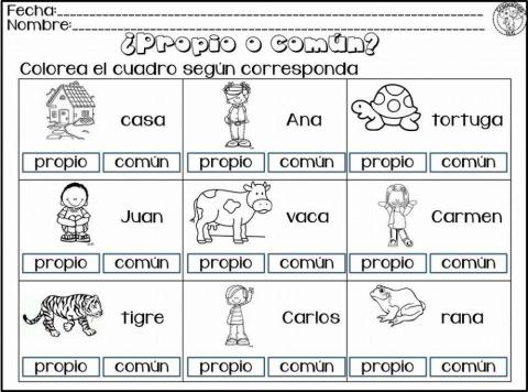 Los nombres propios y comunes