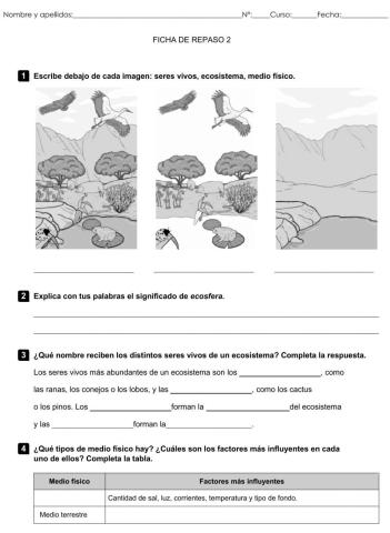 Ficha de repaso 2 de CCNN 5º