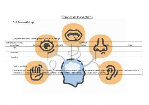 Receptores sensoriales