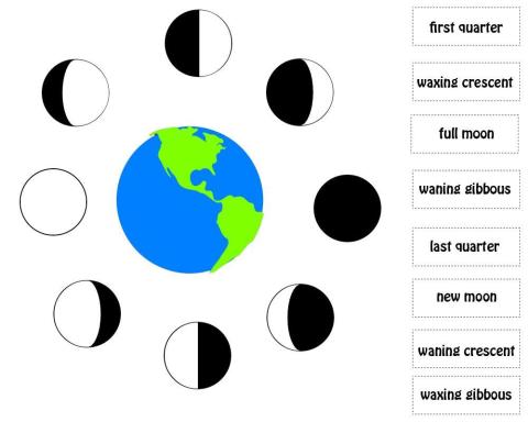 Phases of the Moon