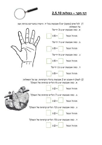 דף חקר כפולות 2-5-10
