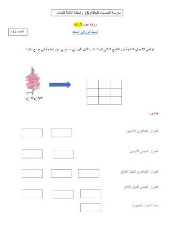 سيادة غير تامة