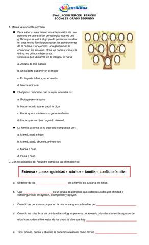 Evaluación acumulativa III periodo