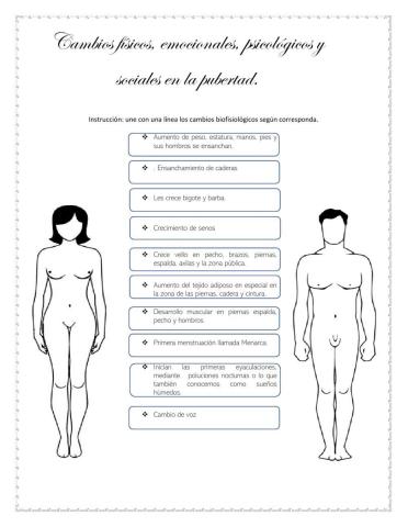 Cambios fisicos en la adolescencia