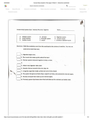 Human Body Systems Test page 2 skeletal muscular