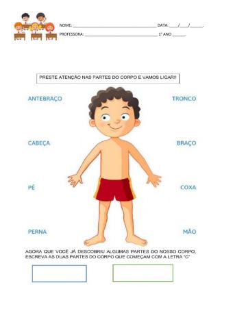 Partes do corpo