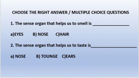 Sense organs