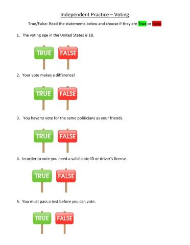 Independent Practice - Voting