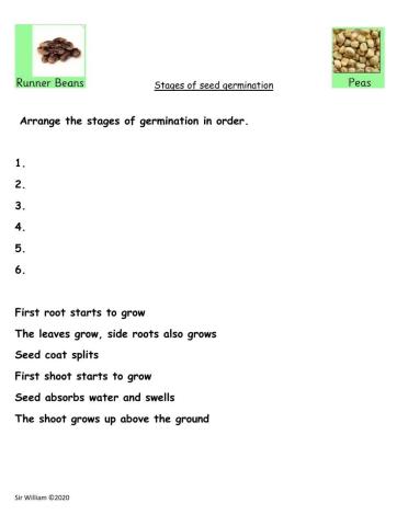 Germination process