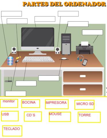 Examen diagnostico