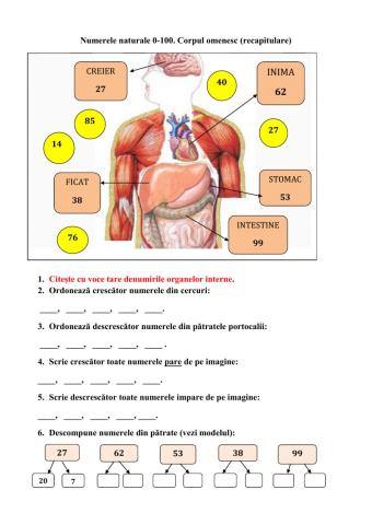 Recapitulare initiala, cl 2