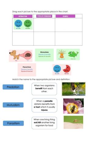 Mutualism, predation and parasitism