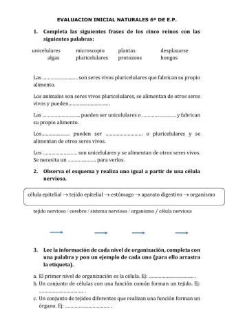 Evaluacion inicial naturales 6º