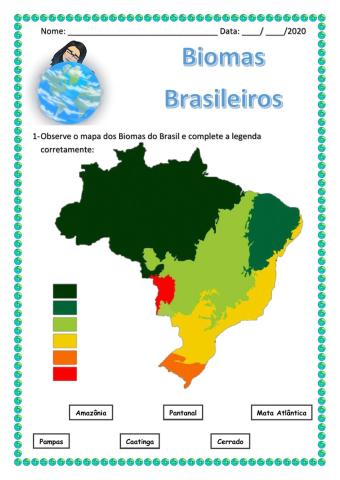 Biomas Brasileiros