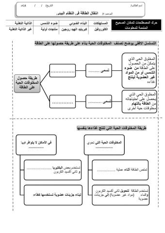 ورقة 5تفاعليةع