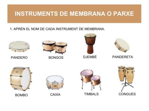 Instruments de membrana o parxe