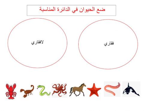 مجموعة الحيوانات 2